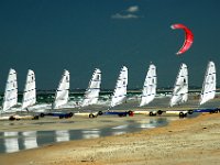 Strandsegler an der Atlantikküste2